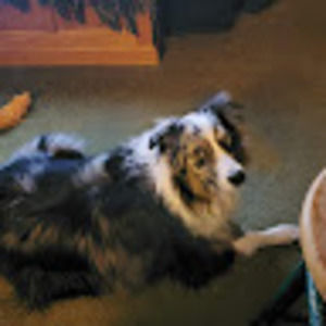 Meet your Posher, Denise